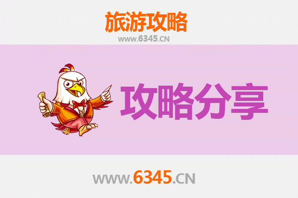 广元苍溪至湄洲岛旅游攻略：跟团还是自由行深度解析